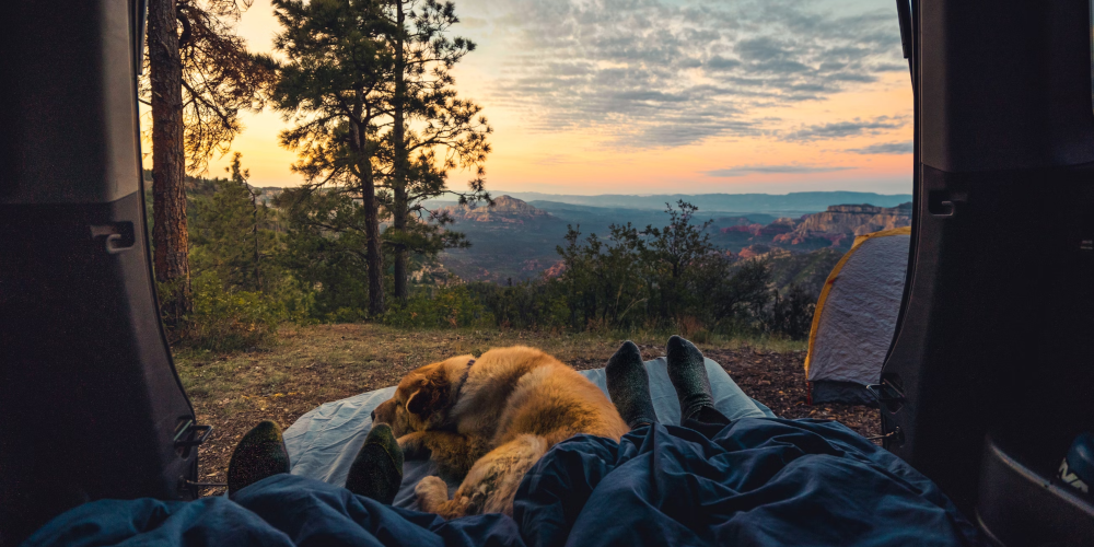  Store a blanket or sleeping bag in your vehicle.